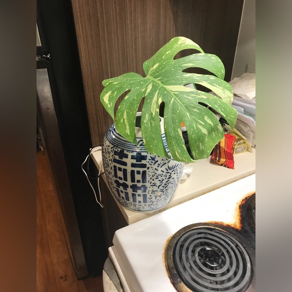 Vase - Picture 8 of 10